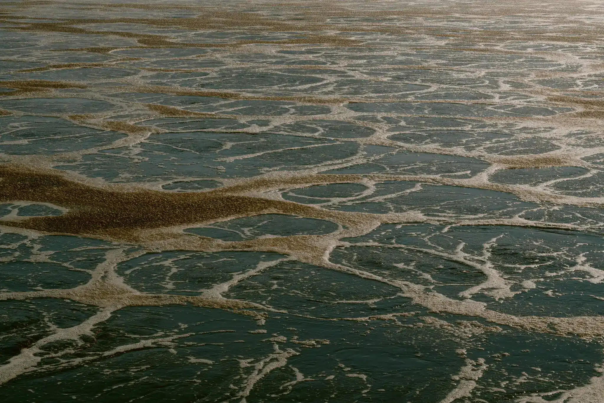 A step in the process of separating sludge from wastewater at a facility in Fort Worth, Texas.Credit...